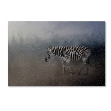 Jai Johnson 'Zebra In A Snow Storm' Canvas Art,30x47